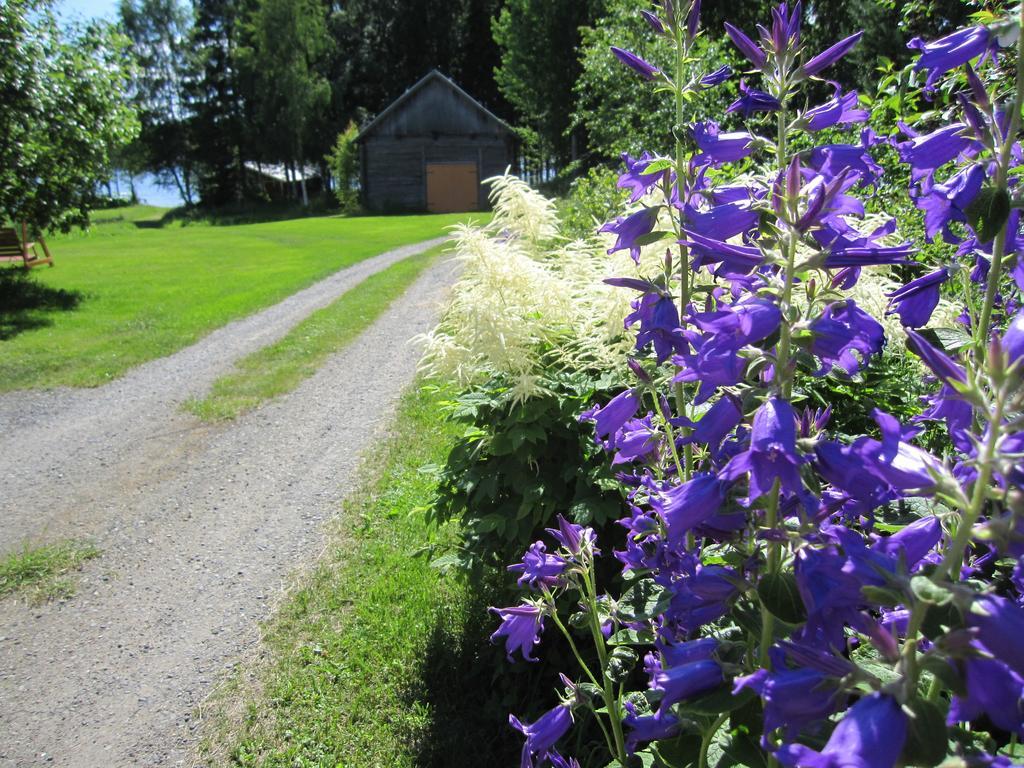 Hotel Karjalan Helmi Tolosenmäki Exterior foto